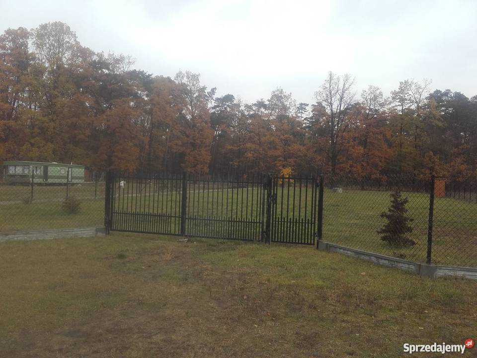 Sprzedam działki rekreacyjna Puczniew