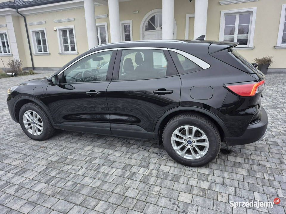 Ford Kuga 25HYBRYD 225 wersja wersja w wtyczka Drelów