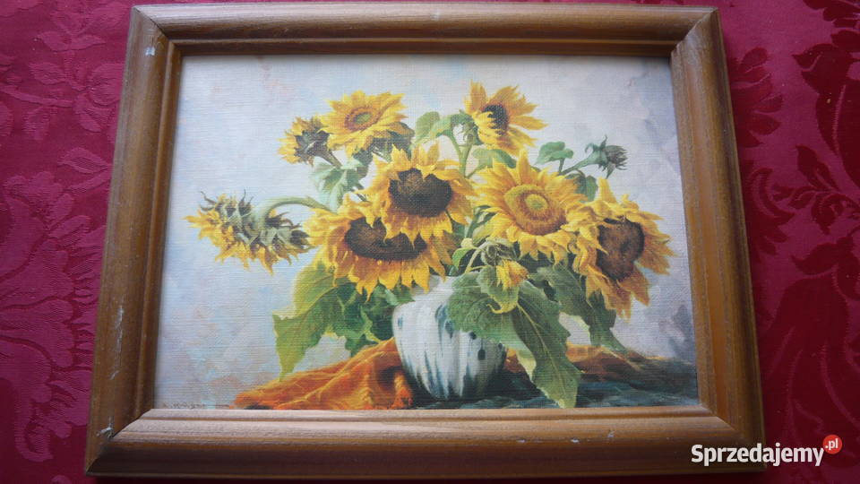 Obrazek Słoneczniki Myszków sprzedam
