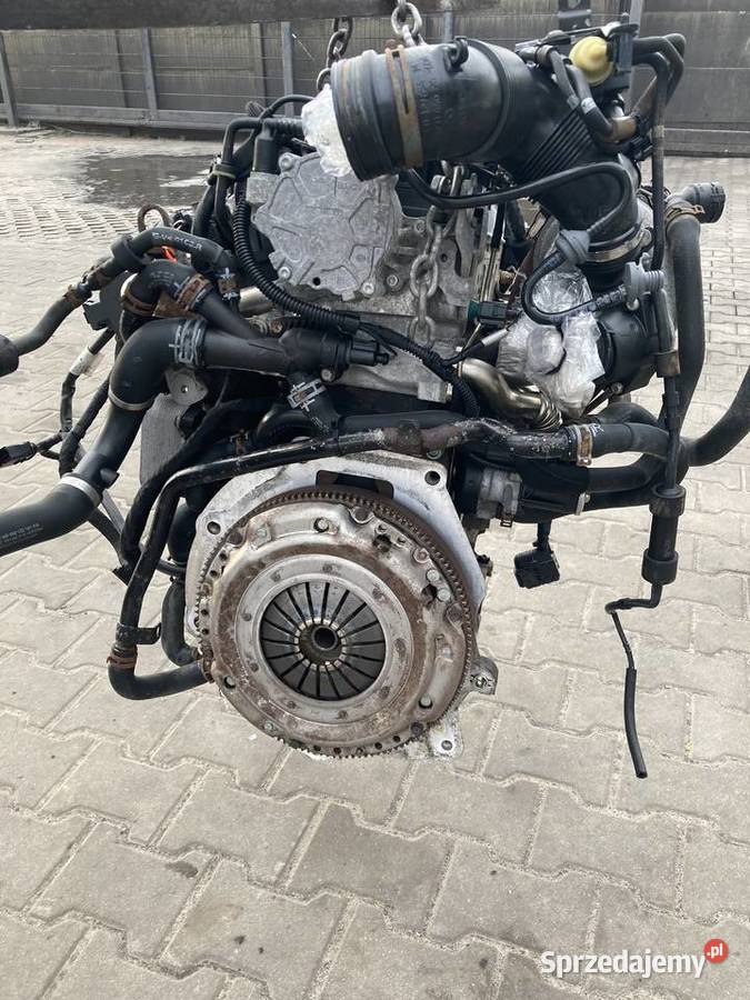 VW kpl silnik CAY 16 TDI Rok produkcji 2012 Części samochodowe Wolsztyn sprzedam
