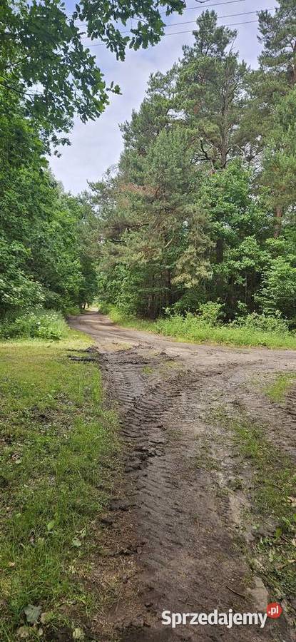 Działka rolna zalesiona Bryzgów