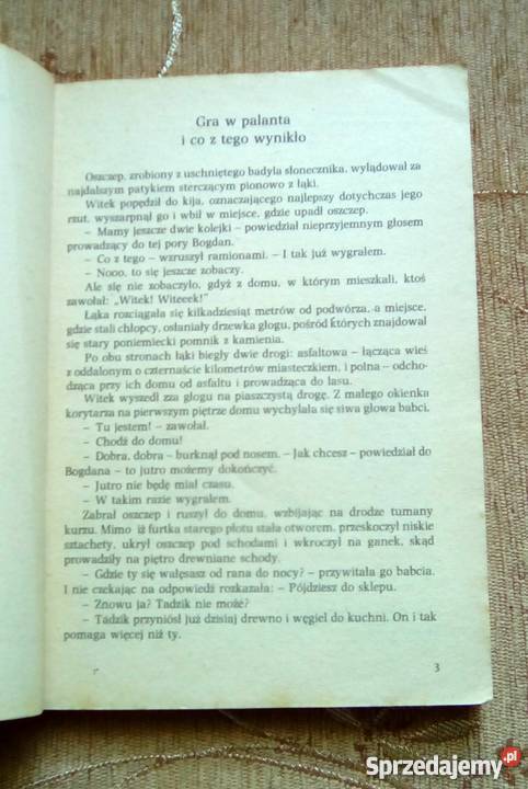 WITEK POSZUKIWACZEM SKARBÓW Andrzej WYDMIŃSKI lubelskie Parczew
