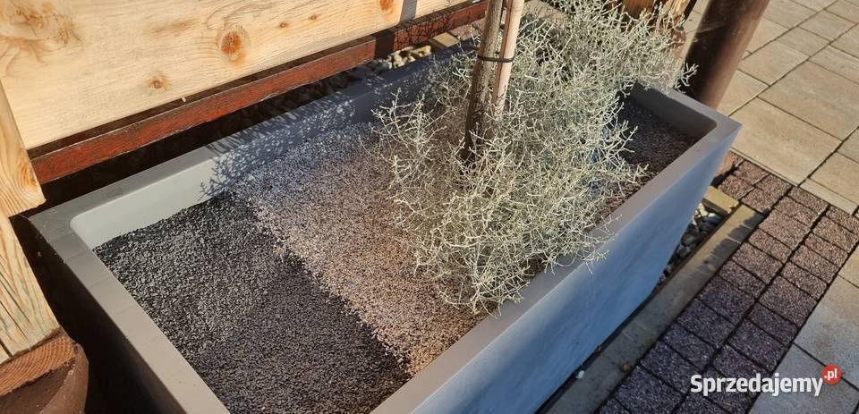 Suchy Żwirek Granitowy Fuga Zasypka 25 mm małopolskie Dąbrowa Tarnowska