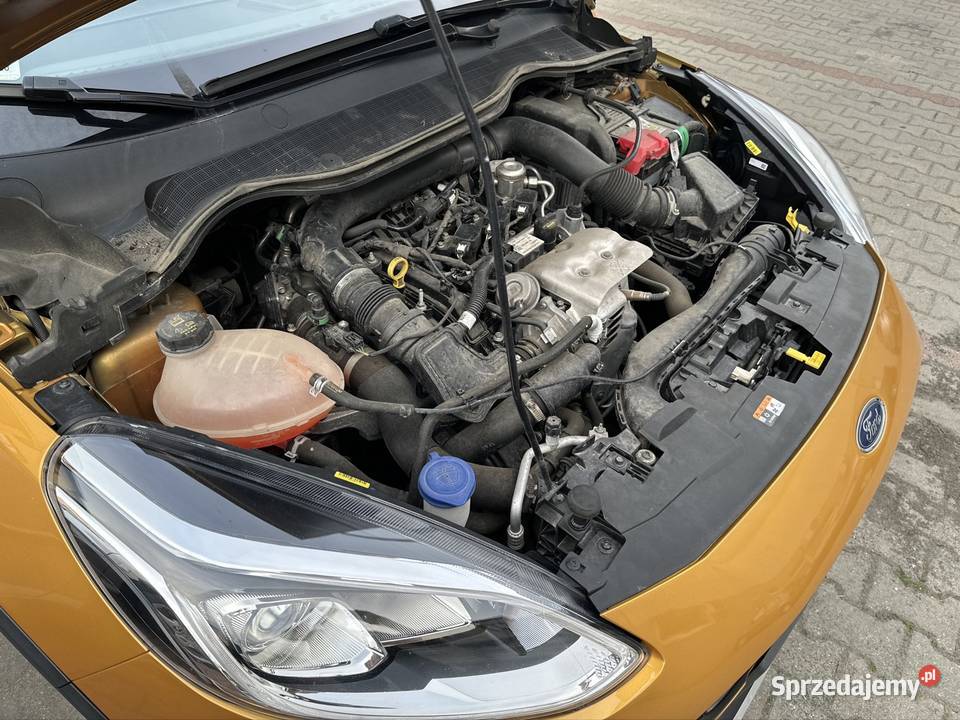 sprzeda Ford Fiesta Active 2 Piotrków Trybunalski