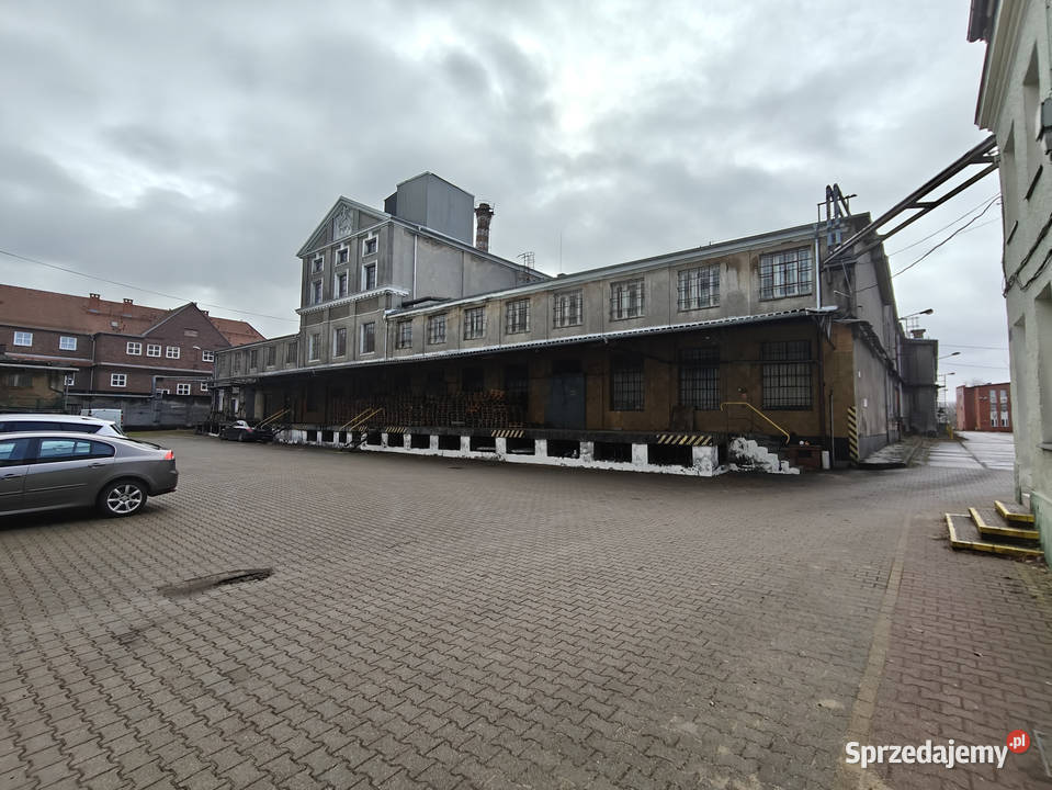Syndyk sprzeda Szczecińską Fabrykę Wódek STARKA Szczecin