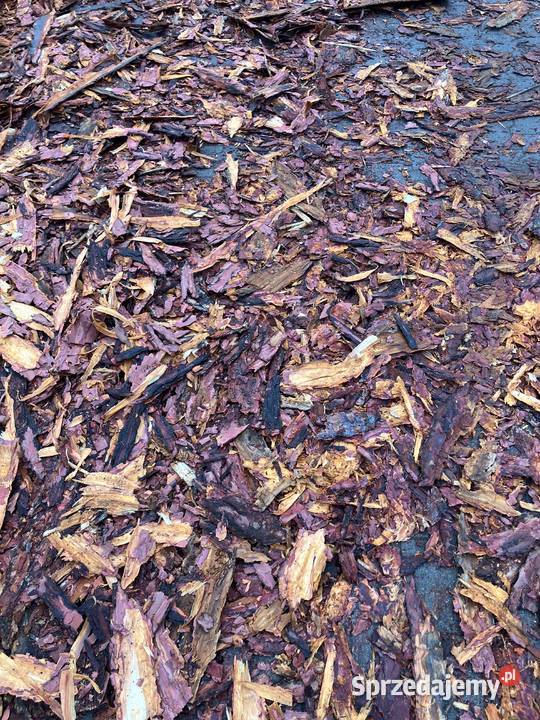 KORA IGLASTA modrzewiowa 70m3 TANIO Kora Poczesna