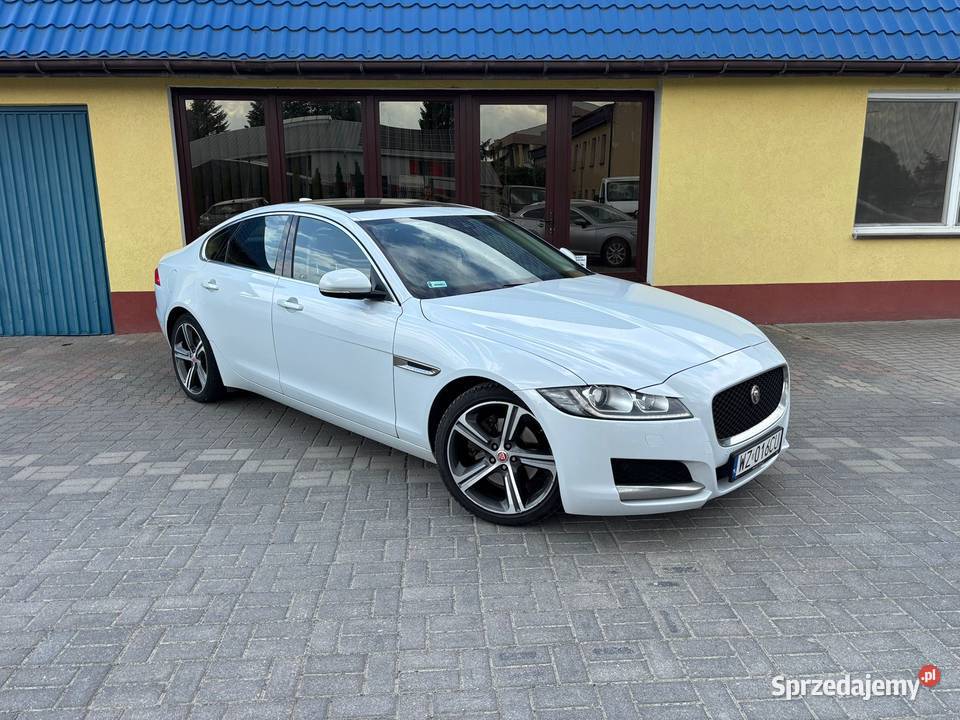 Jaguar XF 20d 2015r Biała Perła OKAZJA 180KM Zamość