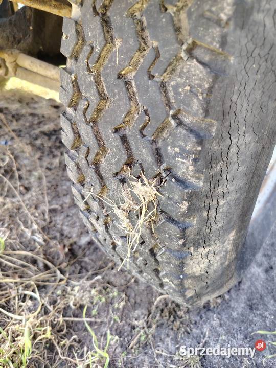 5 kół do żuka wielkopolskie