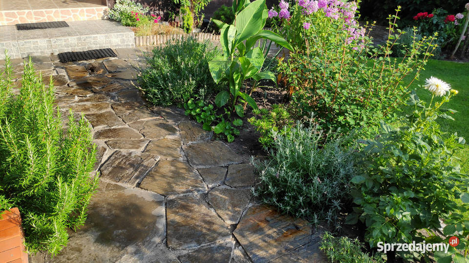 kamień na ścieżki płyty formatowe chodnik z Księżyce