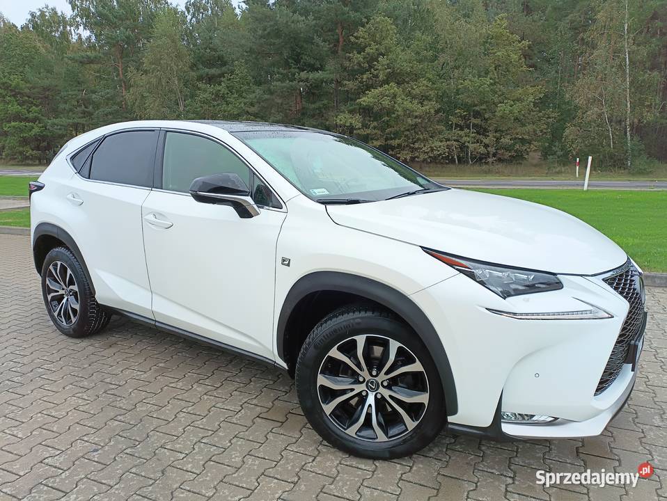 Lexus F SPORT 200t DVD Rok produkcji 2016 Buczek