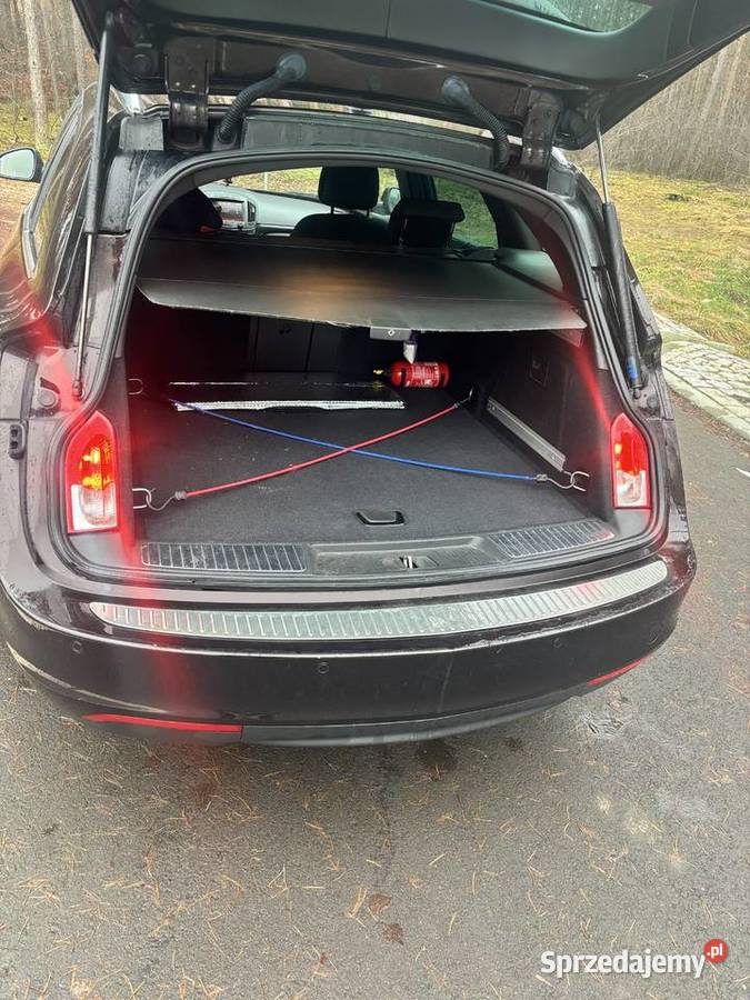 Opel Insignia Kruszyn sprzedam