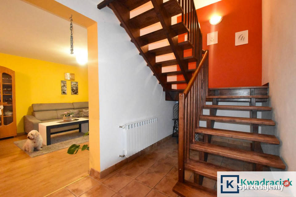 Ogłoszenie dom wolnostojący Zahutyń 13134m2