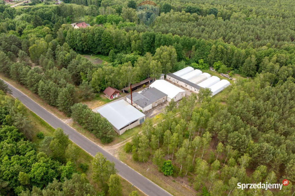 Miały budynki potencjał MPZP usługi i produkcja Grunty i działki