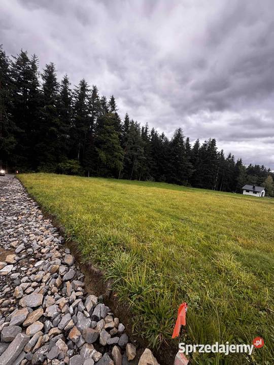 Działka budowlana Podłopień 1196 m gmina Tymbark