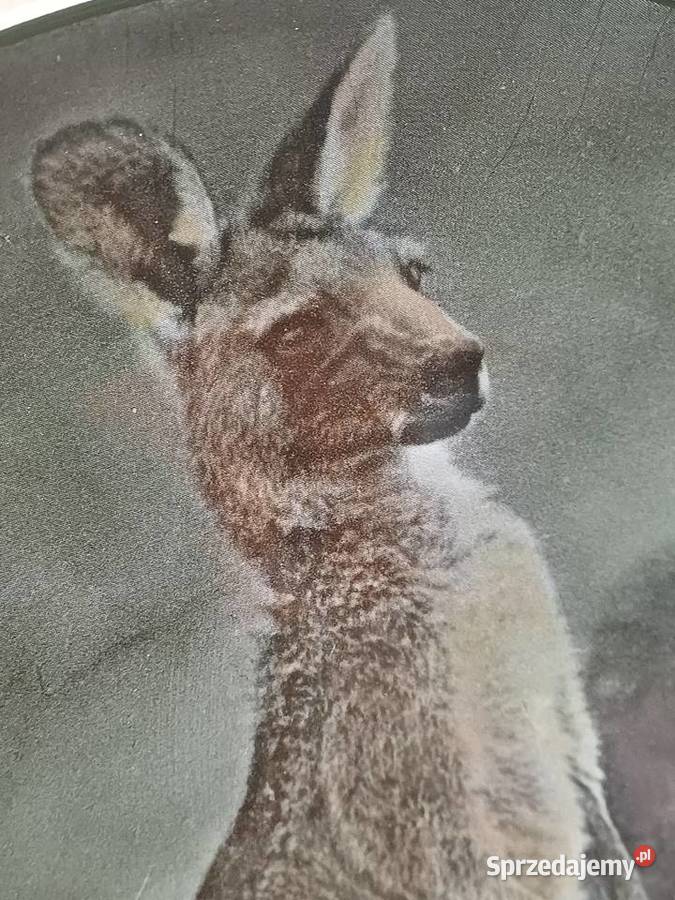 vintage kolekcjonerski talerz Nowy Targ sprzedam