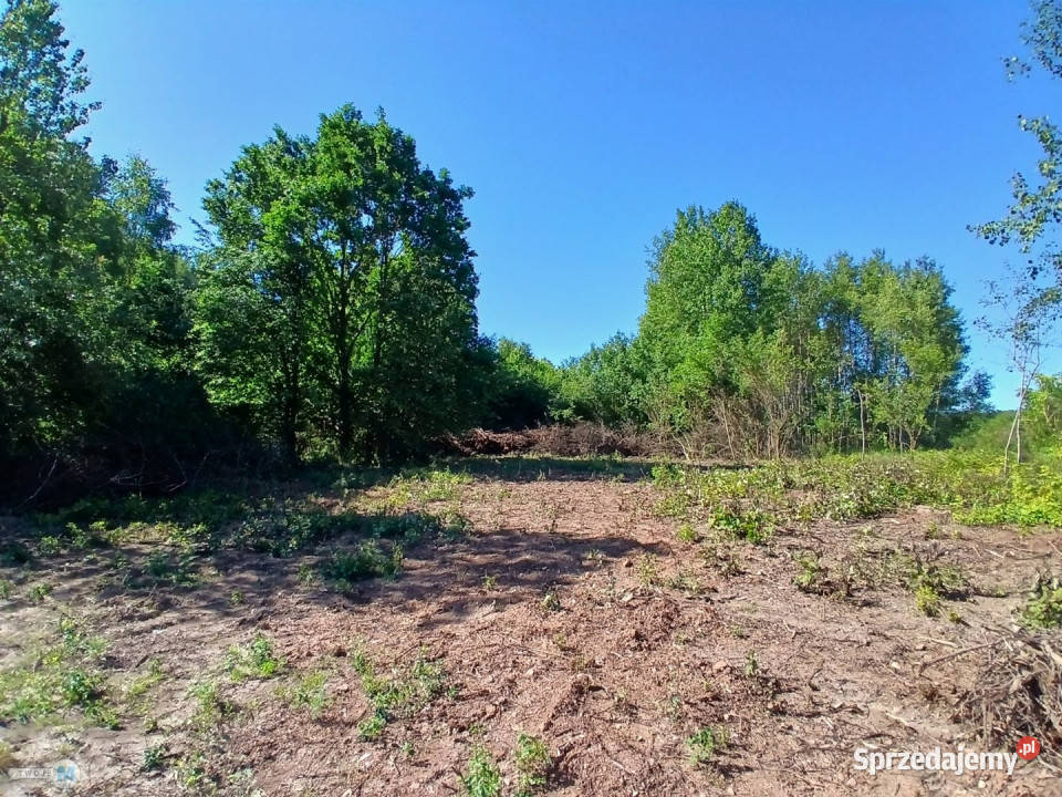 sprzedaży gruntu Raków 9100m2