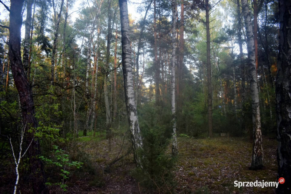 Ruda koło Radzymina działka BEZPOŚREDNIO