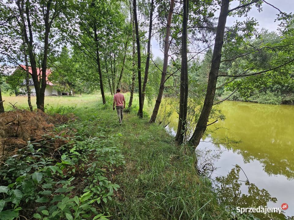 Działka budowlana 6000 m2 JEZIOROLAS sprzedam