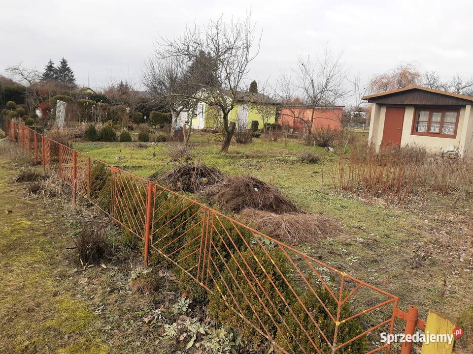 Sprzedam działkę ROD Rawicz Złocie wielkopolskie