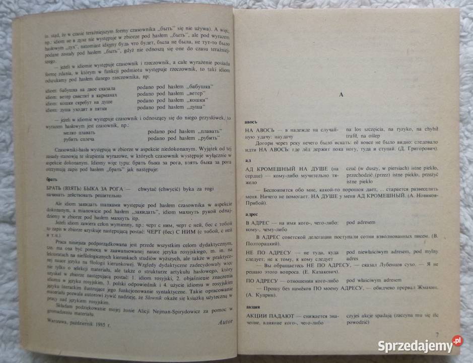 Rosyjskopolski słownik idiomów Olgierd Warszawa