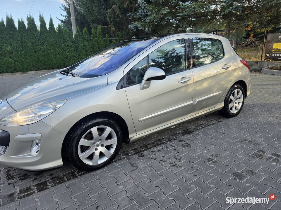 Peugeot 307 T7 dach panorama elektrochrom. lusterka boczne Sadki