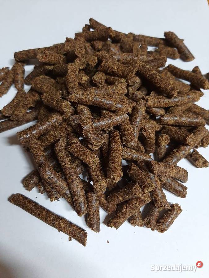 wytłoki makuch rzepakowy Wara