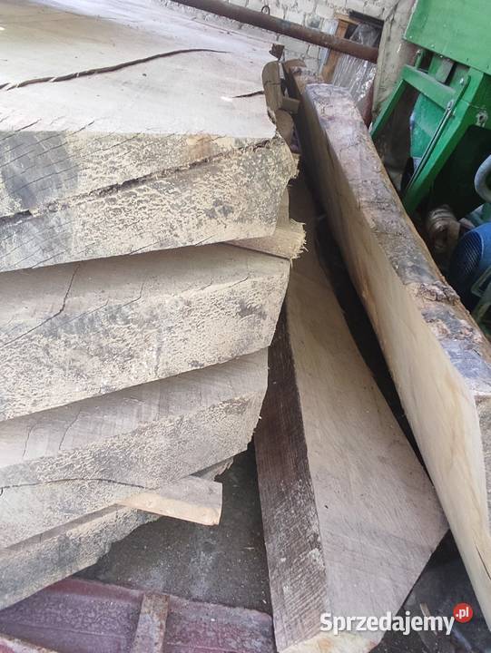 Monolit odziomka jesion 260letni Błażowa