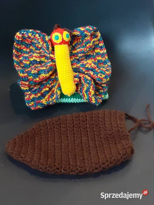 głodna gąsienica Zamość