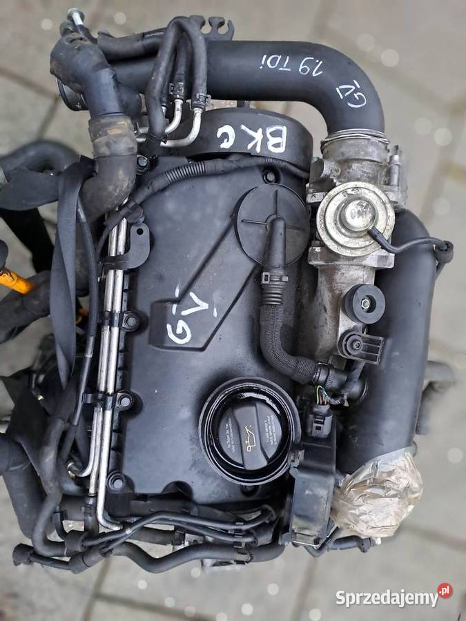 Volkswagen Golf V 19 TDi 105 silnik kompletny silniki kompletne śląskie Jastrzębie-Zdrój
