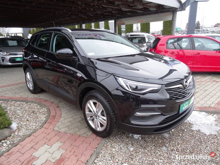 OPEL GRANDLAND X zachodniopomorskie Goleniów