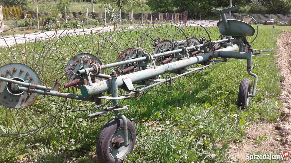 Grabiarka gwiazdówka 5 Pozostałe Bodzentyn