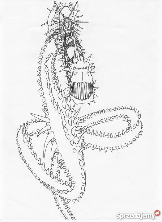 Grafik Rysownik Ilustrator freelancer przyjmie Warszawa