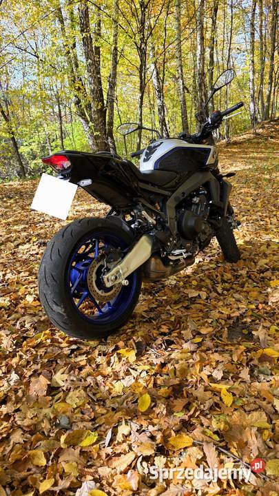 Yamaha MT09 SP 2025 Polski Salon Pakiet zmian małopolskie Tarnów