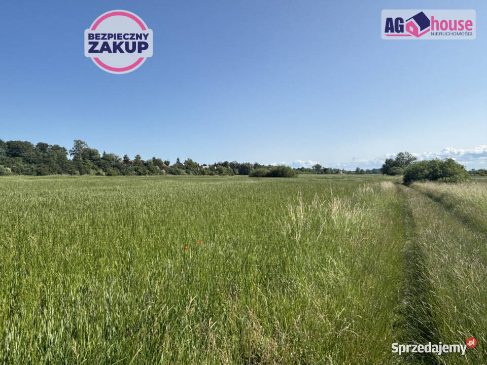 Działkę sprzedam Gdańsk 7245m2 gaz