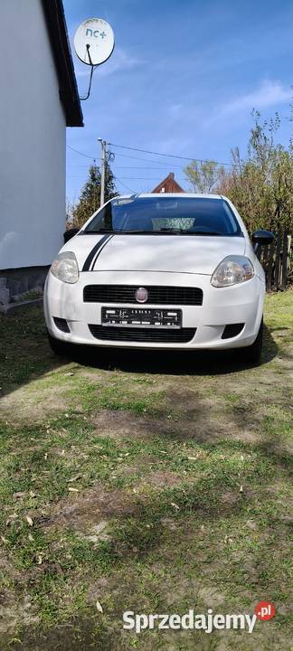 Fiat Punto 12 8V 69 2012r lubuskie Sulęcin