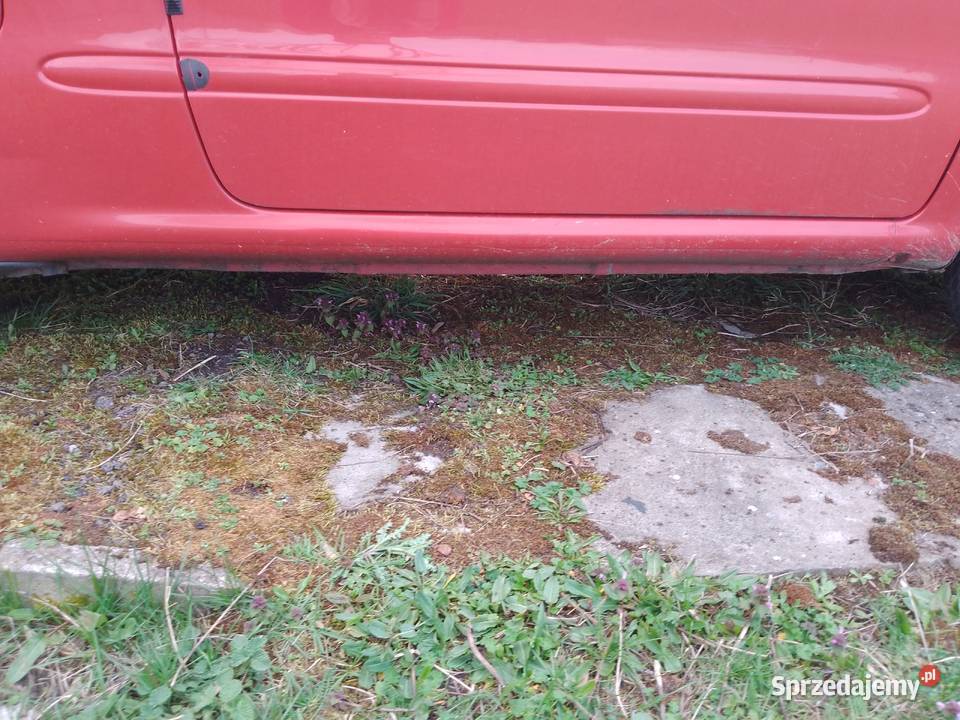 Seicento 11 opłaty aktualne Rok produkcji 2003 Czarnków