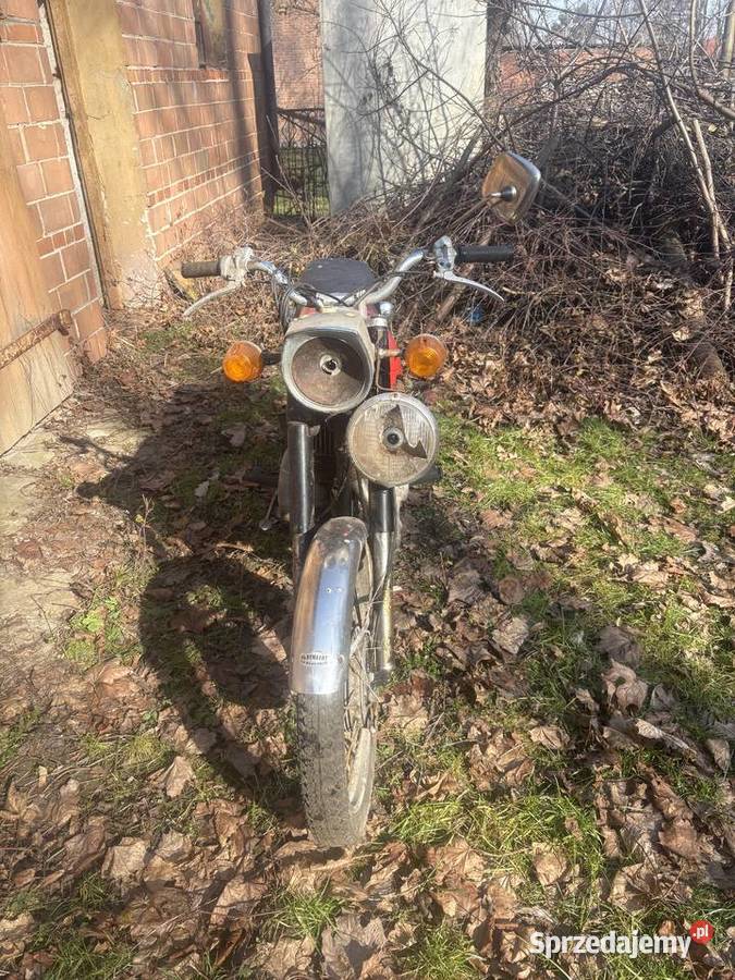 CZ 125 z 1975 roku Dzikowiec