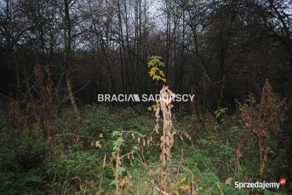 Grunt na sprzedaż 17000 metrów Libertów Sprzedaż