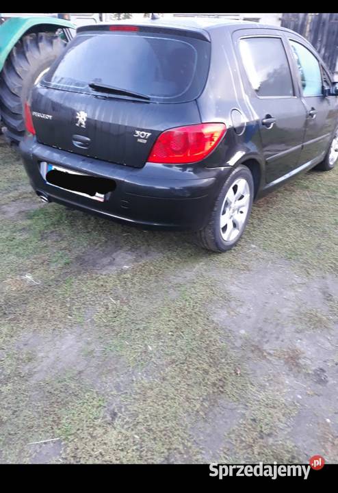Peugeot 307 16hdi Rok produkcji 2007 Września