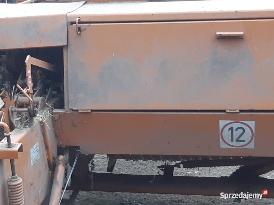 Sipma z2241 Kostkujące Pińczów