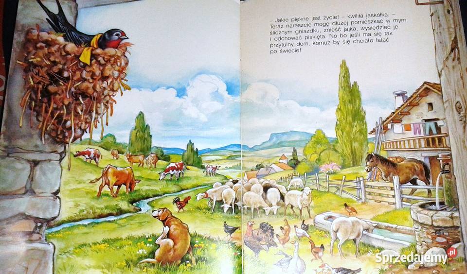 Powrót jaskółki Bajki z wiejskiego podwórka Chełm