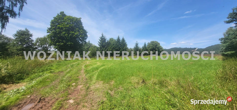 Działka Mieroszów 1900m2 dolnośląskie