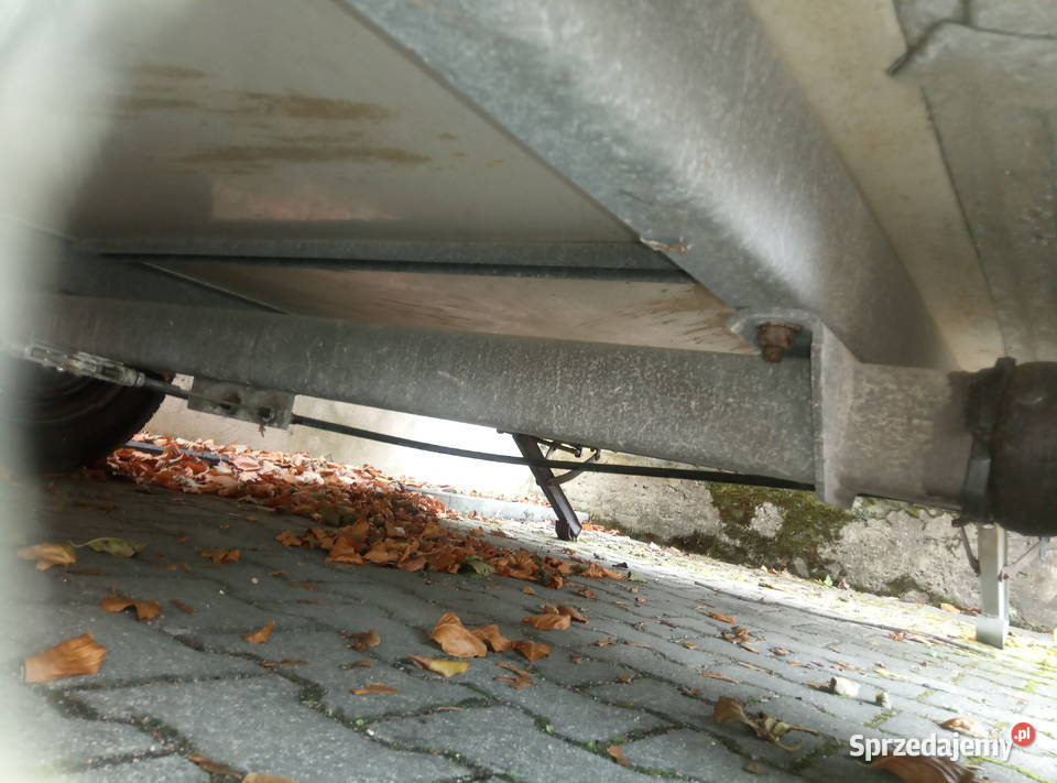 Przyczepa gastro Zgorzelec