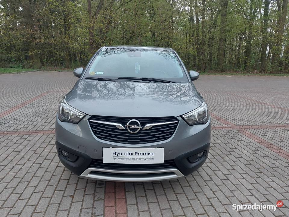 Opel 2017 Gołuchów