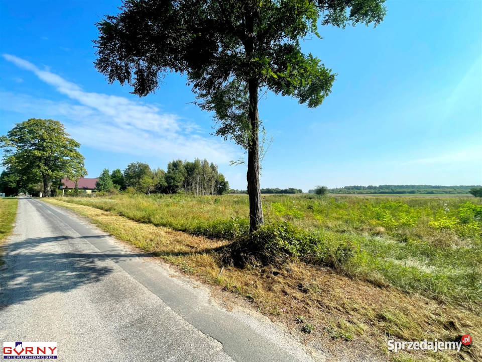 Działka 7400m2 Mniszków Sprzedaż łódzkie