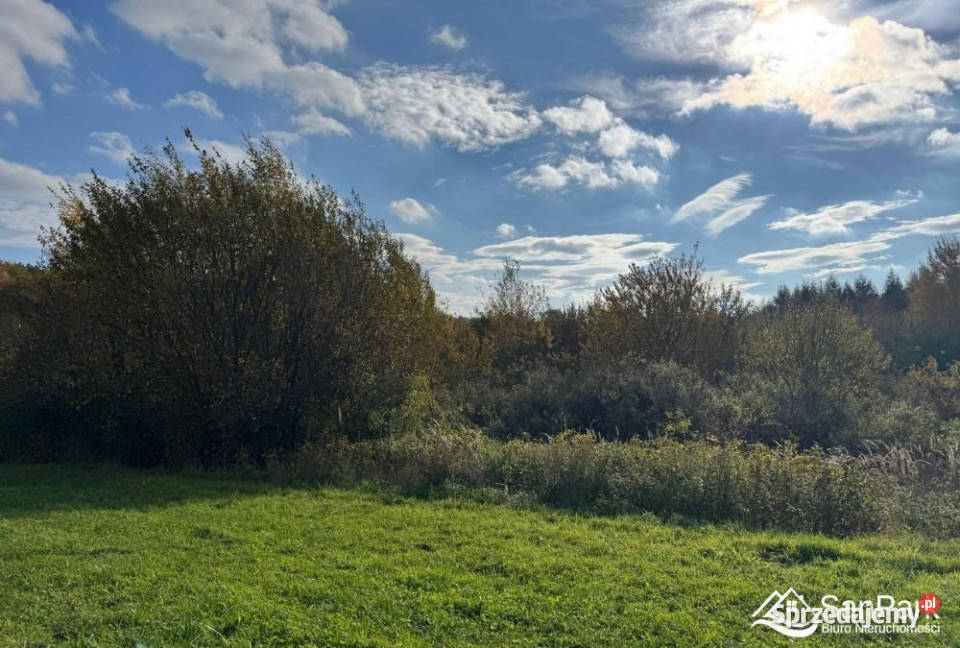 Grunt Lesko 2712m2 budowlana