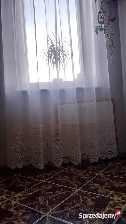 Firanka ecru z gipiurą 200x230 Zrębice