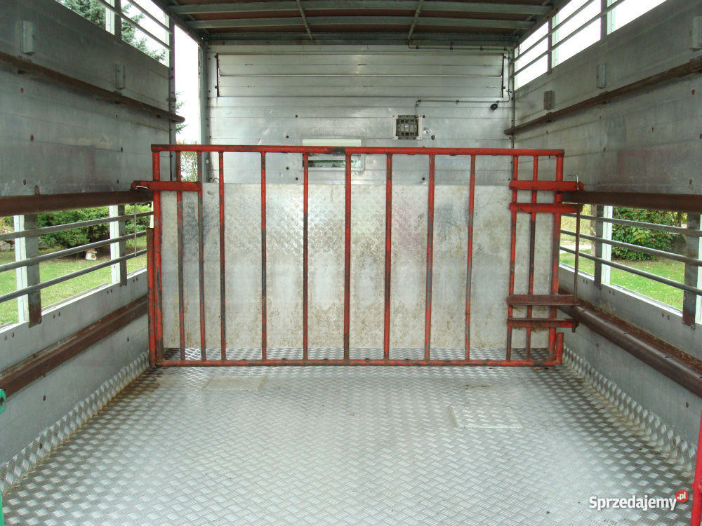 IVECO 35C11 VIEHTRANSPORTER DO PRZEWOZU ZWIERZĄT elektryczne lusterka Samochody dostawcze Kolbuszowa