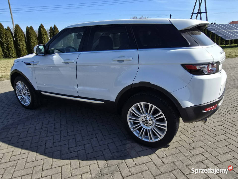 Land Rover Range Rover Evoque 22d światła przeciwmgielne Kutno