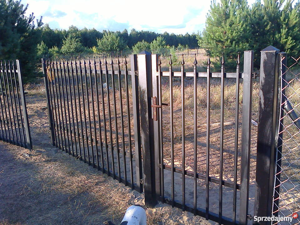 brama skrzydłowa Warszawa